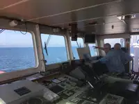 Bulktransportør til salgs