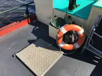 Slepebåt til salgs