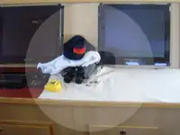Tråler til salgs