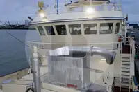 Levende fiskebåt til salgs
