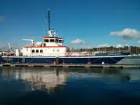 Katamaran til salgs