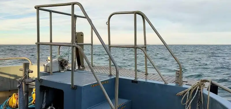 Containerskip til salgs