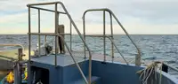 Containerskip til salgs