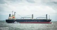 Bulktransportør til salgs