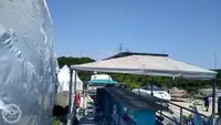 Containerskip til salgs