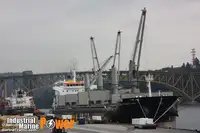 Bulktransportør til salgs