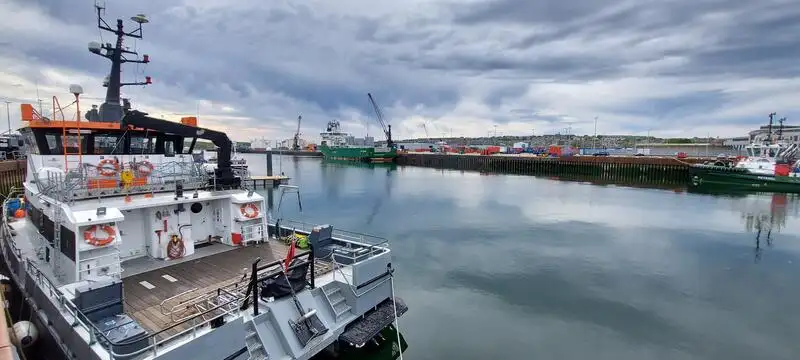 Katamaran til salgs