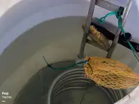 Fiskeforedlingsfartøy til salgs