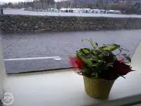 Kutter til salgs