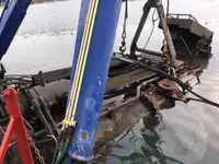 Dredge til salgs