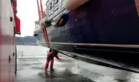 Arbeidsbåter til salgs