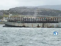 Blekkfisktråler til salgs
