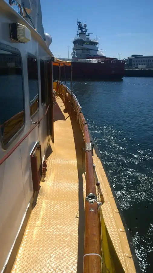 Cruiseskip til salgs