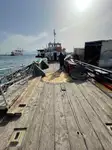 Containerskip til salgs