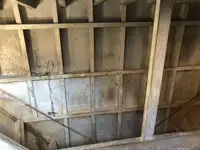 Containerskip til salgs