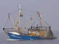 Trawler til salgs