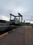 Katamaran til salgs