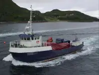 Arbeidsbåter til salgs