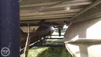 Containerskip til salgs