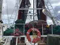 Tråler til salgs