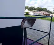 Slepebåt til salgs