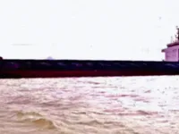 Bulktransportør til salgs