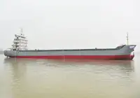 Containerskip til salgs