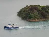 Katamaran til salgs