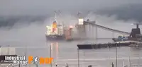 Bulktransportør til salgs