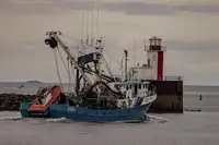 Snurpenottråler til salgs