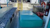 Cruiseskip til salgs