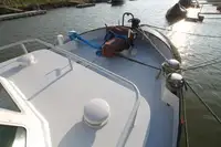 Cruiseskip til salgs