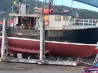 Langlinjetråler til salgs