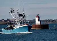 Purse seiner til salgs