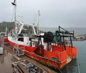 Tråler til salgs