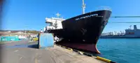 Ro-Ro ship til salgs