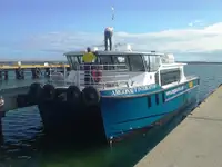 Katamaran til salgs