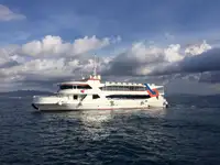 Cruiseskip til salgs