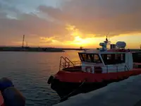 Arbeidsbåter til salgs