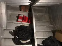 Containerskip til salgs