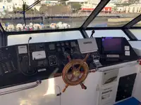 Cruiseskip til salgs