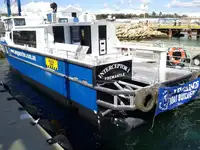 Katamaran til salgs