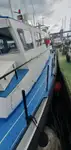 Containerskip til salgs