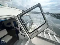 Cruiseskip til salgs