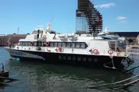 Hydrofoil til salgs