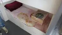 Tråler til salgs