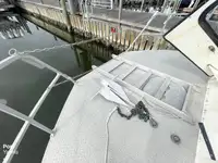 Cruiseskip til salgs