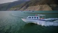 Cruiseskip til salgs