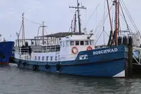 Lekter til salgs