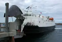 Bulktransportør til salgs